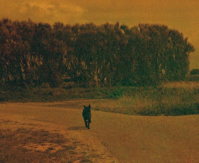 Photograph by Nanténé Traoré from the pays des merveilles exhibition