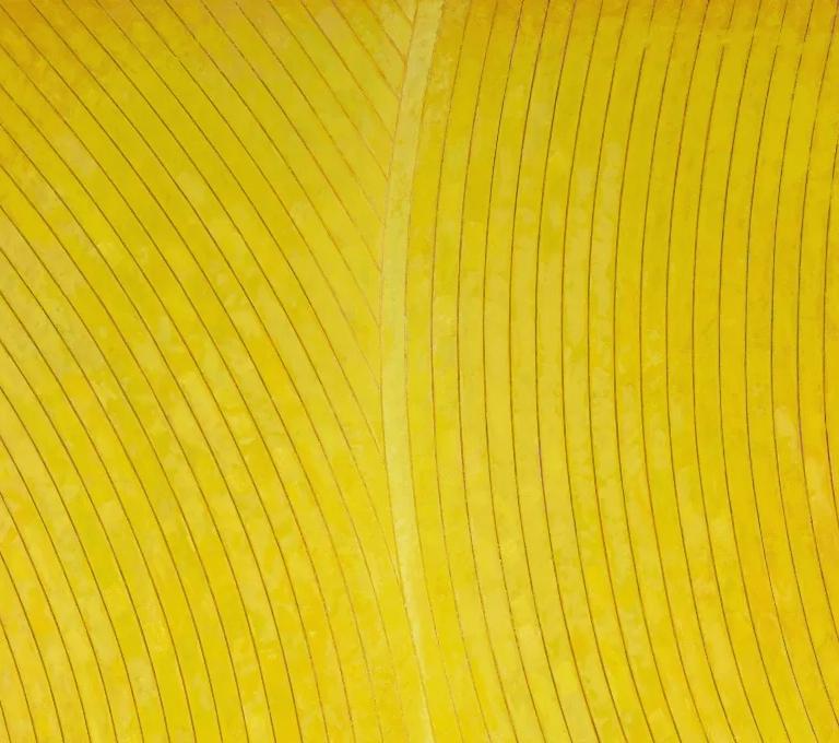 Kenneth Dingwall, Melding (detail), 2026, yellow abstract work