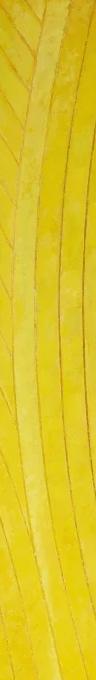 Kenneth Dingwall, Melding (detail), 2026, yellow abstract work