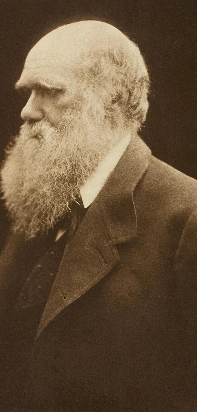 Portrait of Charles Darwin