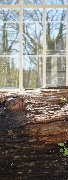 Camilla Berner's You are Yourself a Sequoia in the Greenhouse at Museum Ordrupgaard