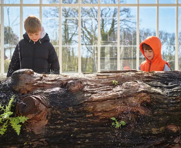 Camilla Berner's You are Yourself a Sequoia in the Greenhouse at Museum Ordrupgaard