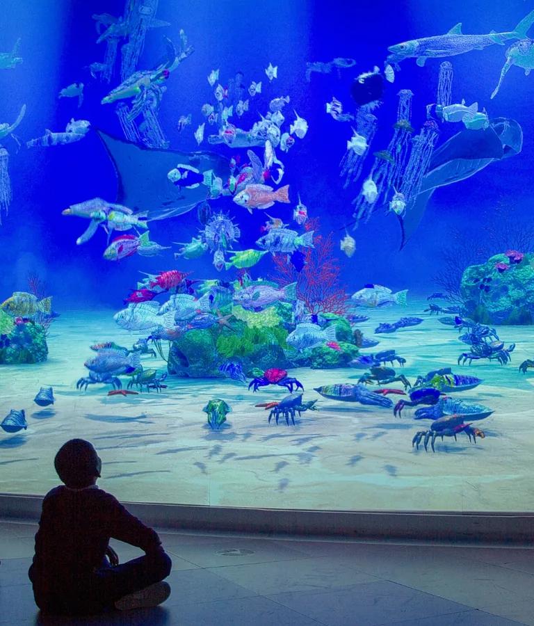 Two children watching a projected ocean full of drawn fish in the Fishanário