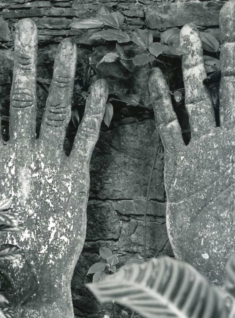 Vivir la Tierra at the National Museum of Mexican Art