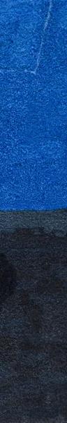 Elizabeth Blackadder: A Life in Colour at Dovecot Studios
