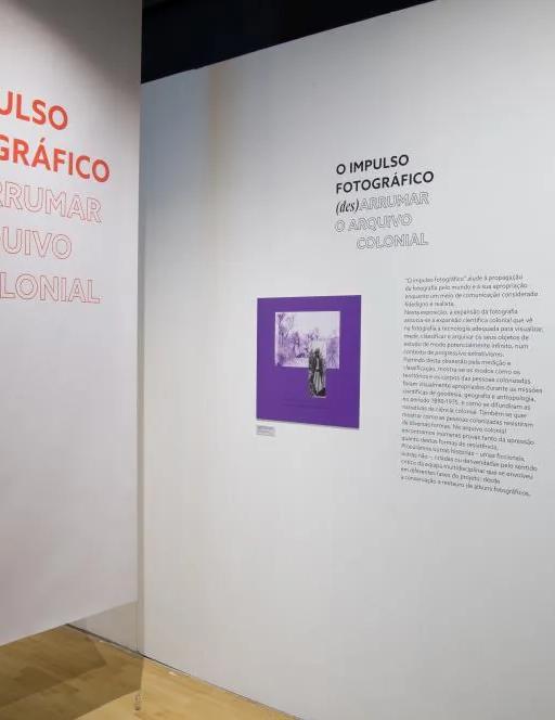 O Impulso Fotográfico exhibition view