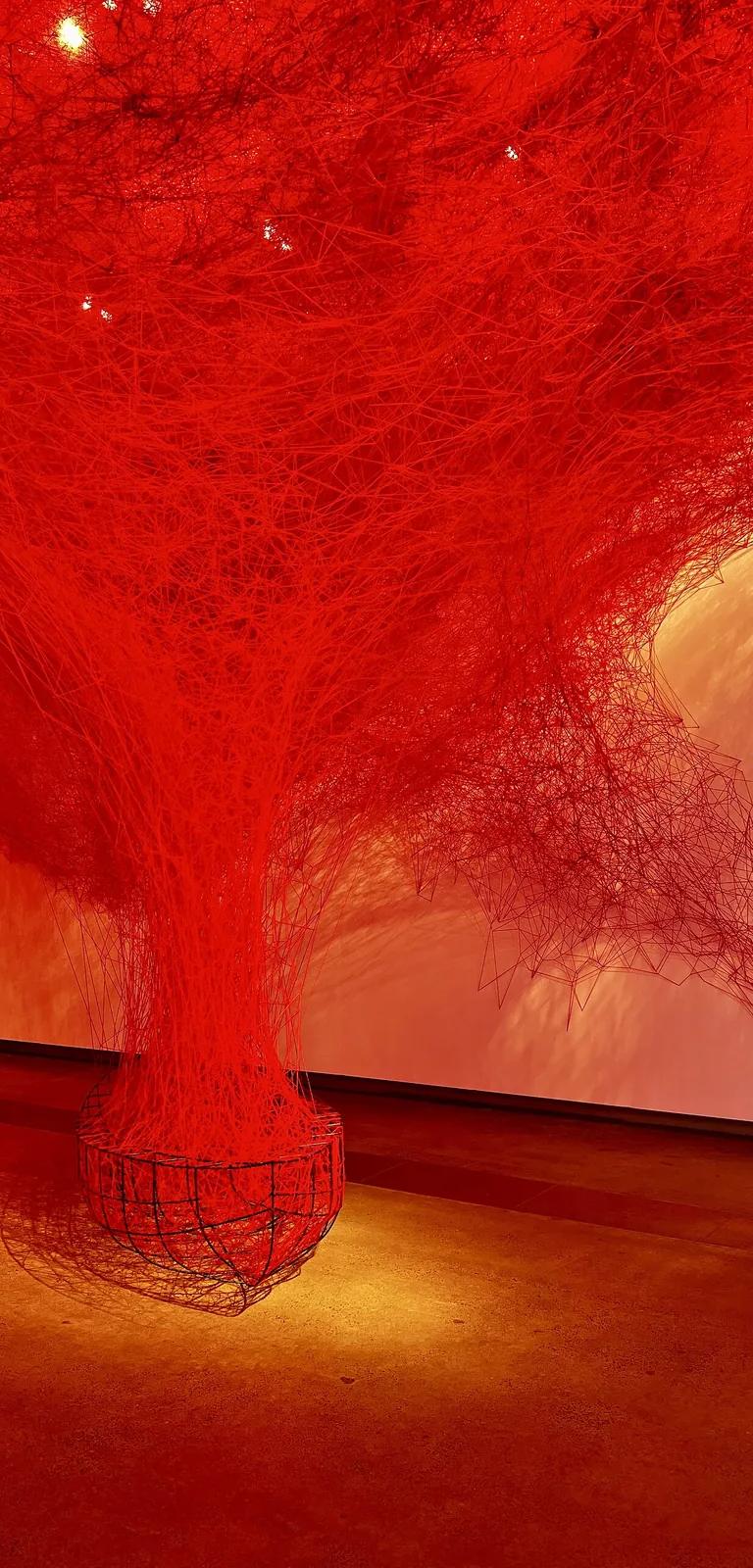 Thread installation by Chiharu Shiota