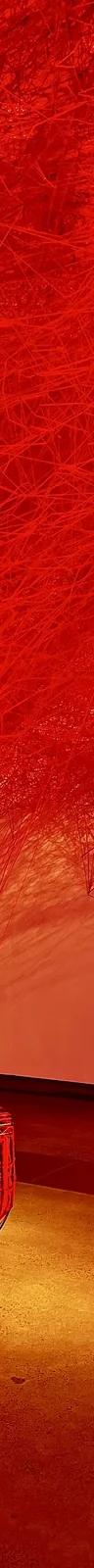 Thread installation by Chiharu Shiota