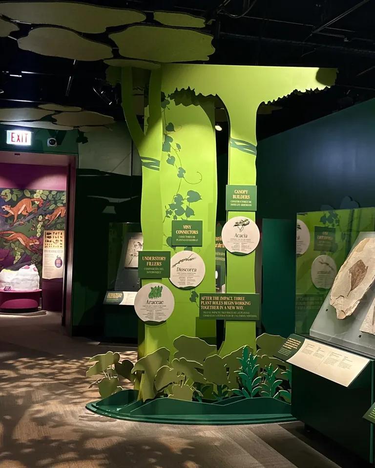 A section of a museum exhibition, with large cut-outs of trees and plants, and specimens in display cases.