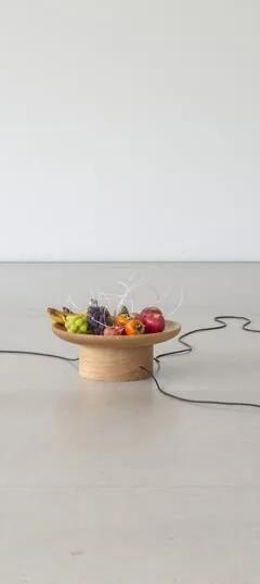 Yuko Mohri kinetic sculpture installation incorporating fruit, speakers and cables