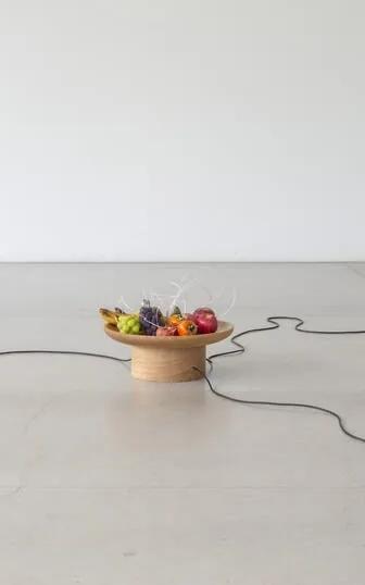 Yuko Mohri kinetic sculpture installation incorporating fruit, speakers and cables