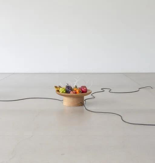 Yuko Mohri kinetic sculpture installation incorporating fruit, speakers and cables