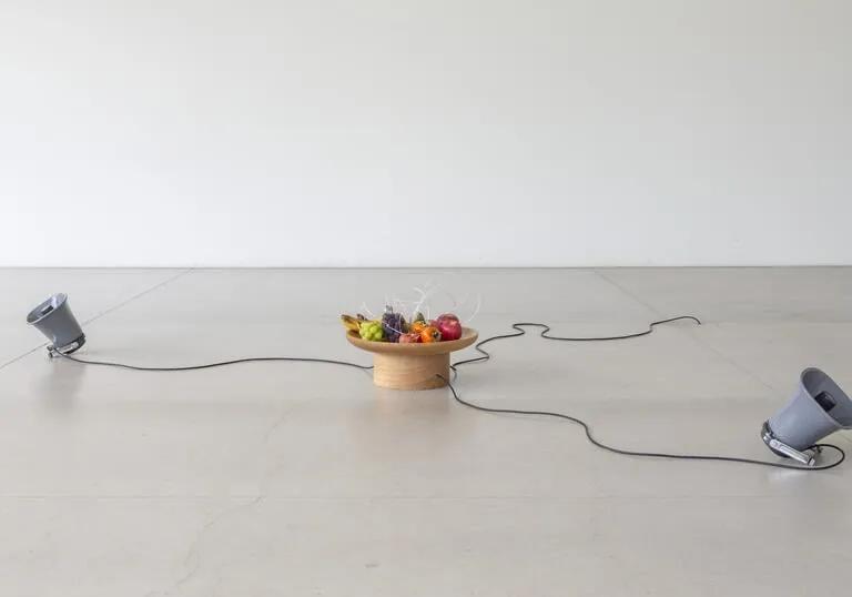 Yuko Mohri kinetic sculpture installation incorporating fruit, speakers and cables