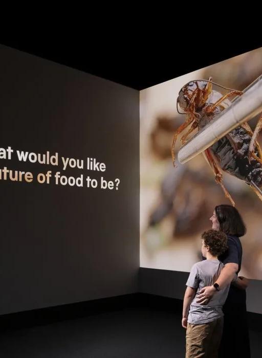 Visitor looking at a video display in the Future of Food exhibition at the Science Museum