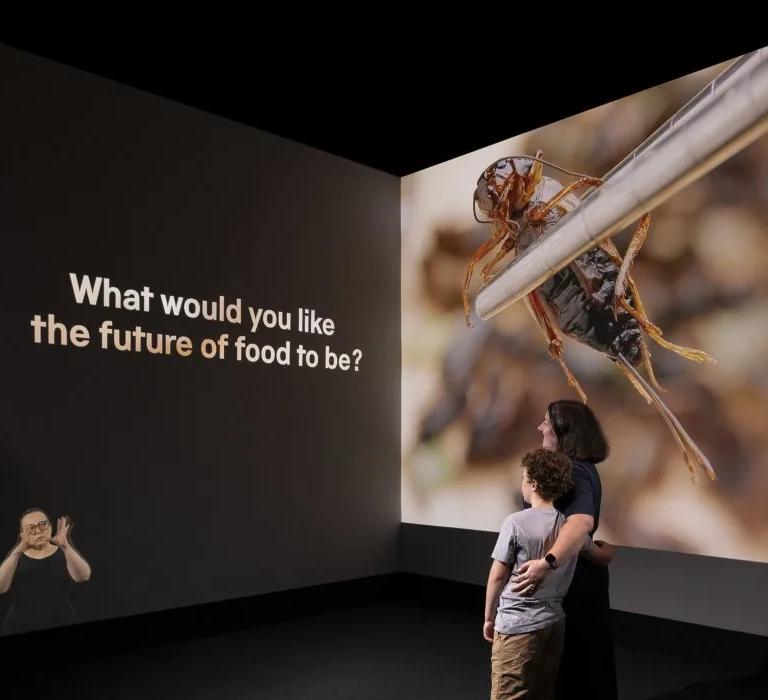 Visitor looking at a video display in the Future of Food exhibition at the Science Museum