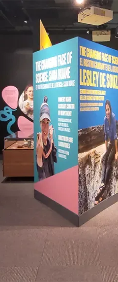 Museum exhibitions featuring two scientists. On the left is a desk and bookshelves, with multimedia panels. On the right, a large video screen and a canoe.