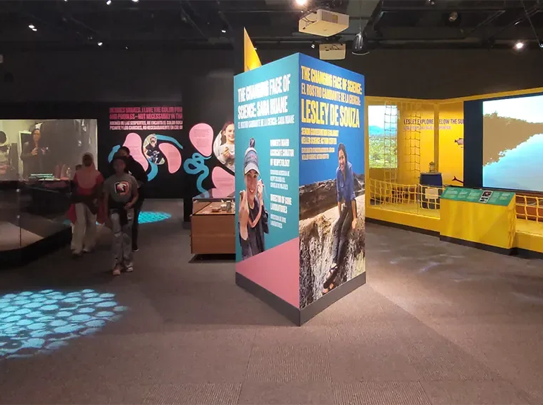 Museum exhibitions featuring two scientists. On the left is a desk and bookshelves, with multimedia panels. On the right, a large video screen and a canoe.