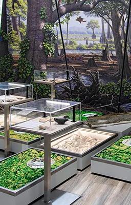 Molassic Park exhibition display at Museum Mensch und Natur