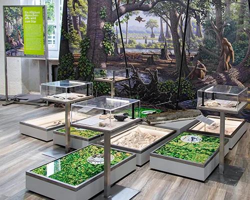 Molassic Park exhibition display at Museum Mensch und Natur