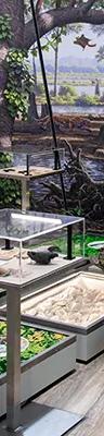Molassic Park exhibition display at Museum Mensch und Natur