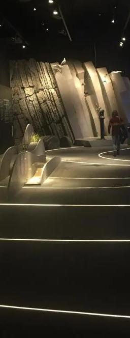 Variações Naturais exhibition view