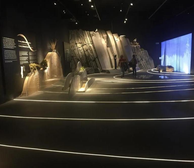 Variações Naturais exhibition view