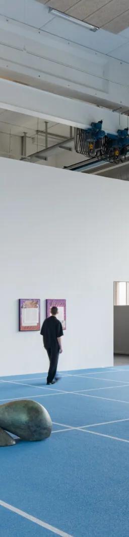 Installation view of Camille Henrot, Paper Planes at Copenhagen Contemporary