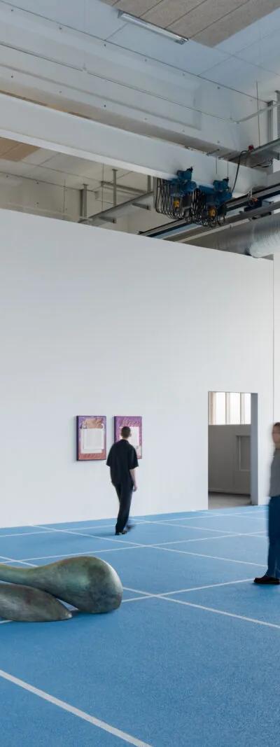 Installation view of Camille Henrot, Paper Planes at Copenhagen Contemporary