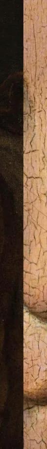 Masterpieces of the Renaissance from the Musée du Louvre exhibition banner