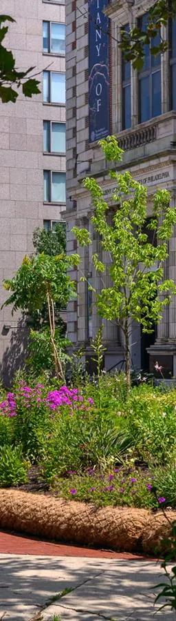 Native plants garden installation on the Benjamin Franklin Parkway