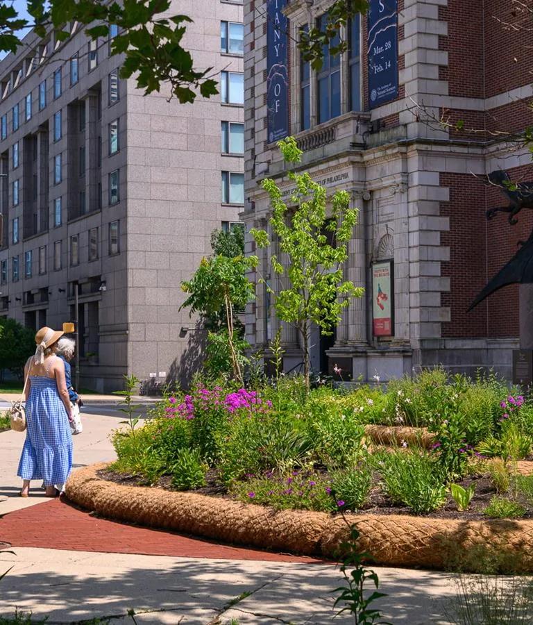 Native plants garden installation on the Benjamin Franklin Parkway
