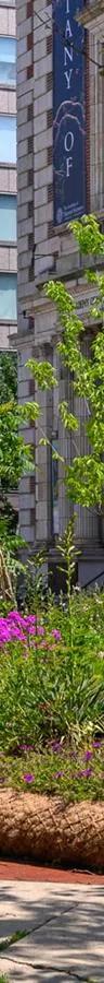 Native plants garden installation on the Benjamin Franklin Parkway