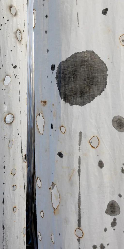 Katherine Steichen Rosing, Harbingers - tattered white linen columns charred with flame, suspended as a ghost forest