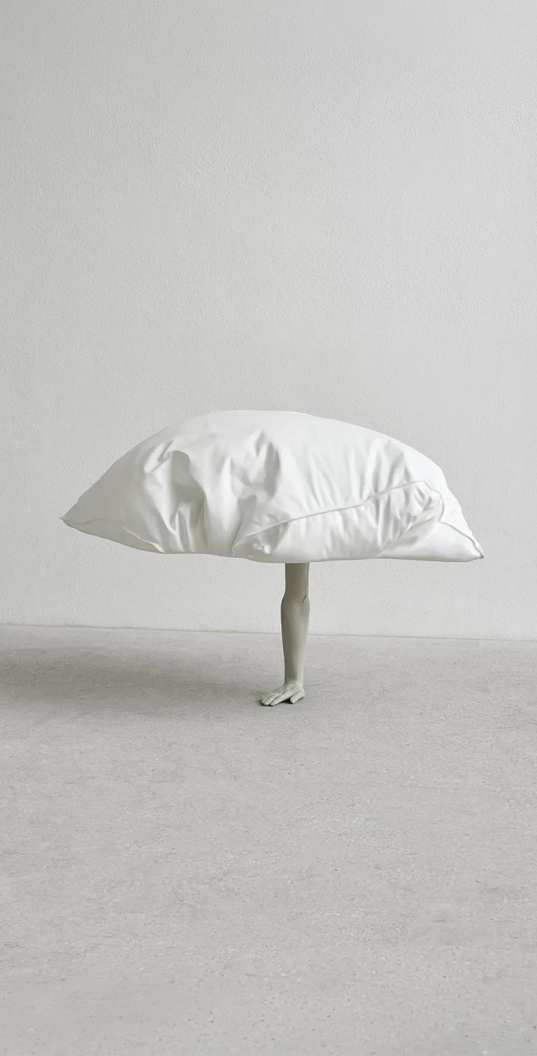 Erwin Wurm, Dreamer