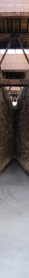 Delcy Morelos installation