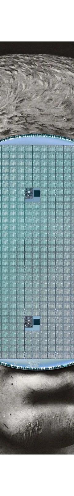 Nicolás Lamas, Corpus serialis exhibition image