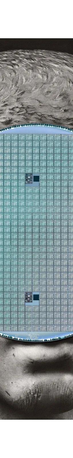 Nicolás Lamas, Corpus serialis exhibition image