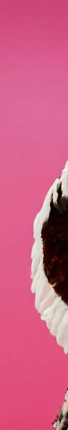 Always In Fashion exhibition at the Textile Museum of Canada