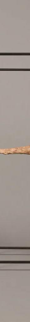 Alberto Giacometti, Le Nez, c. 1947-49, plaster, Fondation Giacometti