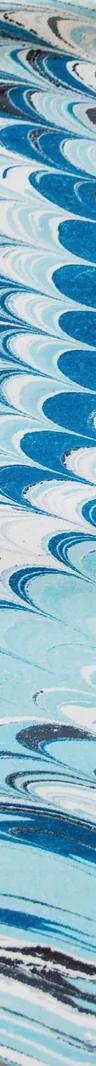 Alize Zorlutuna, Surface Tension: To Comb [Tarak] at Mercer Union