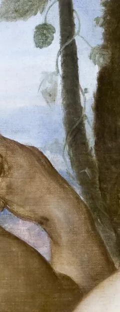 Frans Floris, Pomona (detail), 1565, The Hallwyl Museum, Stockholm