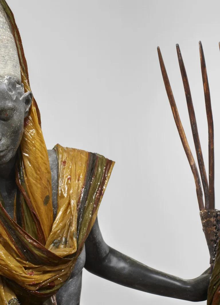 Detail of Bharti Kher, The messenger (2012)