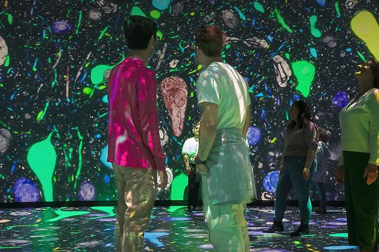 Visitors stand inside the Invisible Worlds immersive theater, surrounded by projections