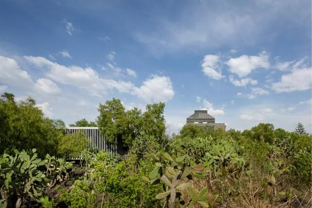 Espacio ecológico, Museo Anahuacalli