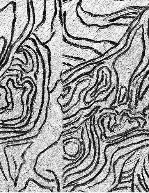 Olho de vidro, exhibition by Pedro Barassi