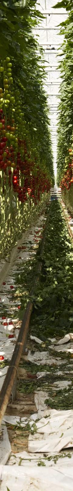 Installation image from CONVIVIUM: Food Systems at the Limit