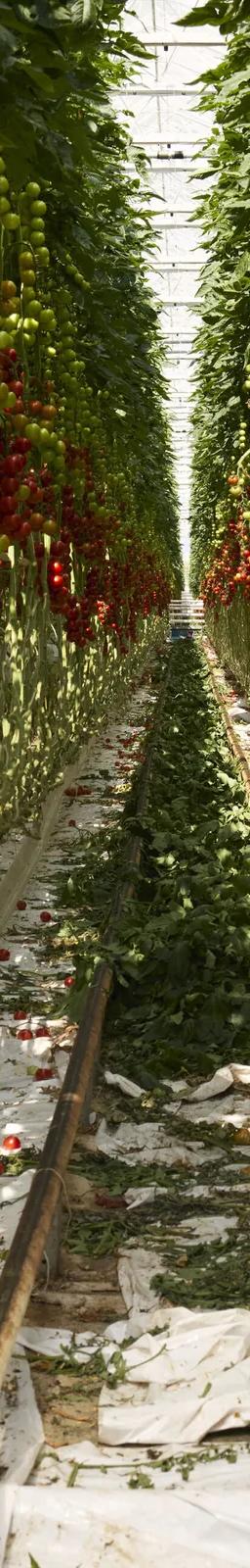 Installation image from CONVIVIUM: Food Systems at the Limit