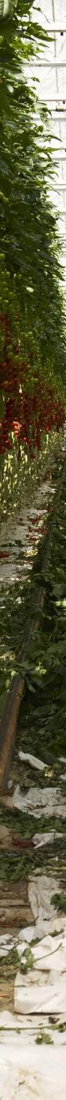 Installation image from CONVIVIUM: Food Systems at the Limit