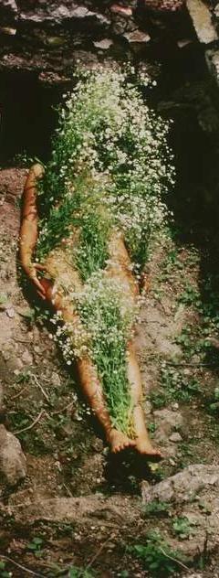 Work by Ana Mendieta from her Silueta series
