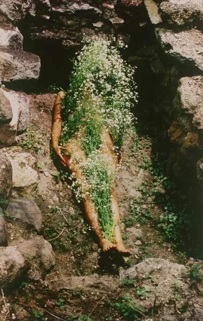 Work by Ana Mendieta from her Silueta series